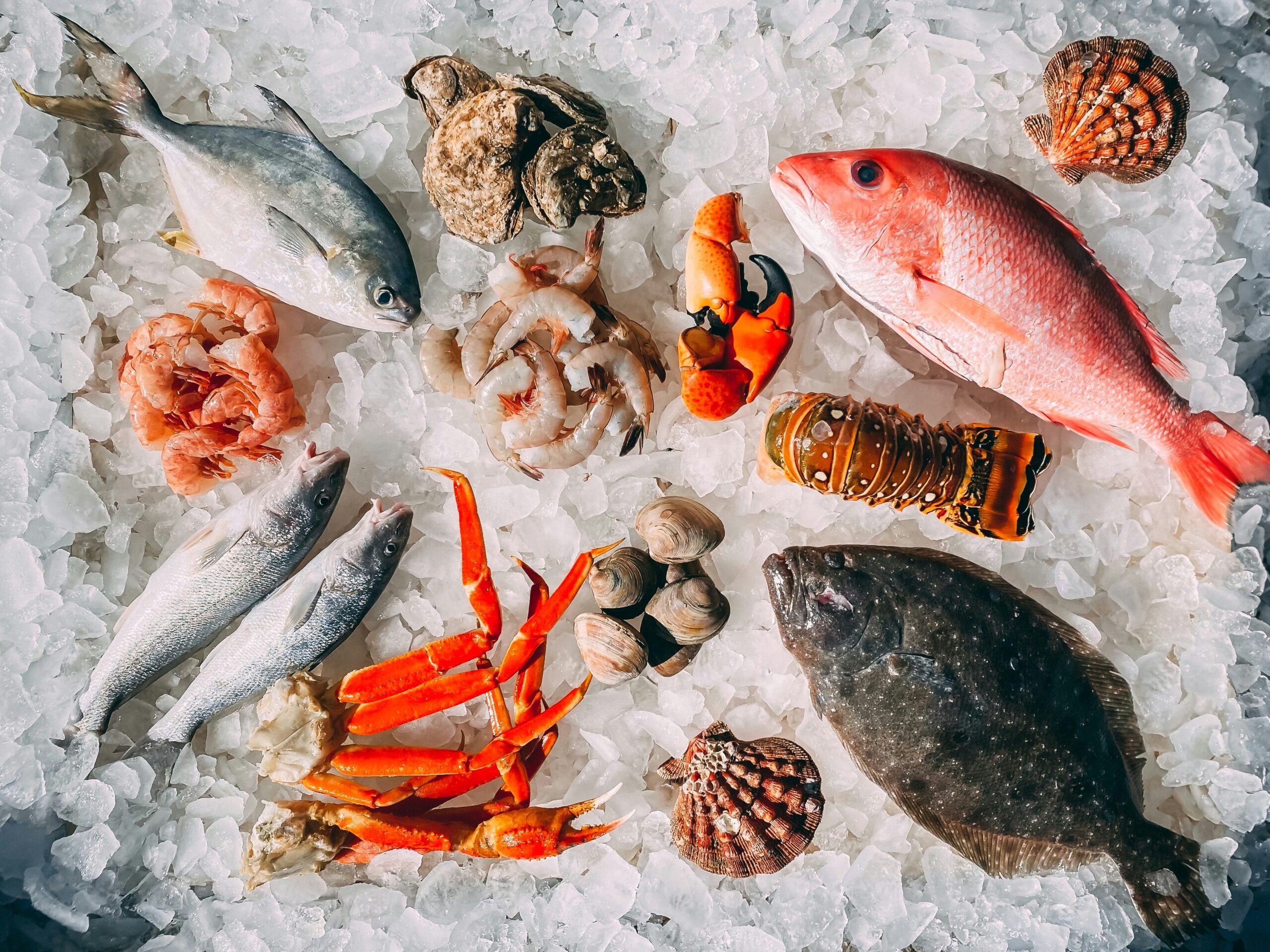 Cold store and frozen seafood logistics